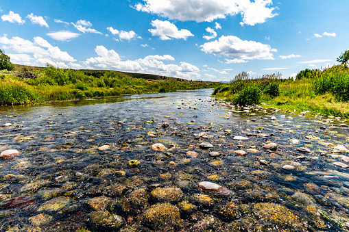 A river in Grand Teton National park