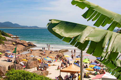 FLORIANOPOLIS, BRAZIL - JANUARY 21, 2023 : crowded beach Praia da Barra da Lagoa, Florianopolis, Brazil