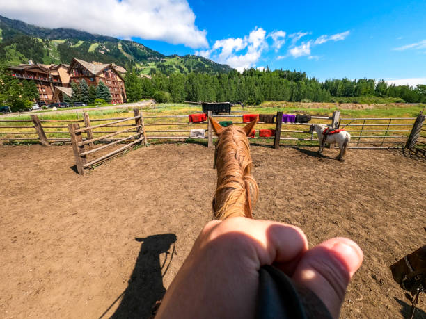 istock Personal perspective horseback riding through a National park, scenic 1465631549