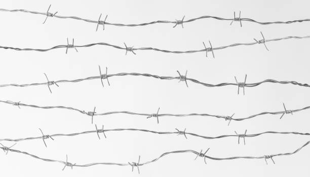 有刺鉄線 - barbed wire fence wire danger ストックフォトと画像