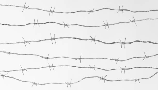 barbed wire - razor wire imagens e fotografias de stock