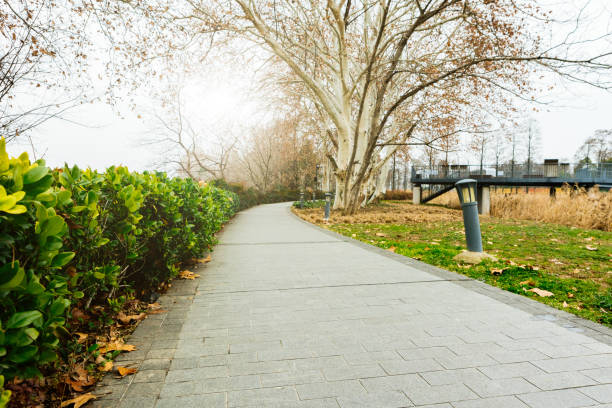 The sidewalk of the park path