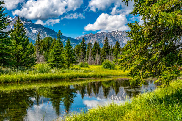 Stunning Teton mountain range with a lake and trees in a scenic national park stock photo