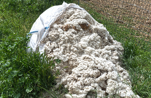 Uncarded wool