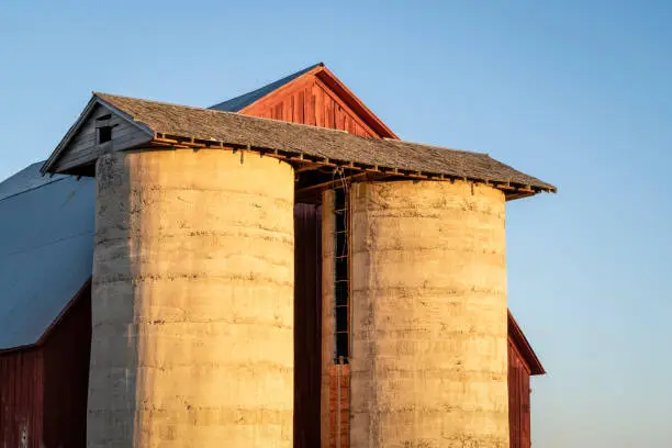 detail of old, weathered, red barn with twin silos in sunset light at Colorado foothills