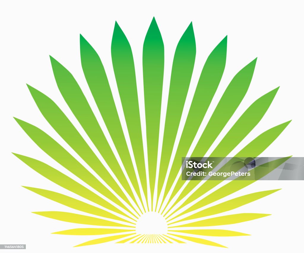 Blue Agave Plant Stock Illustration - Download Image Now - Agave Plant