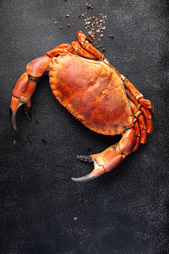 red crab seafood shellfish  fresh meal food snack on the table copy space