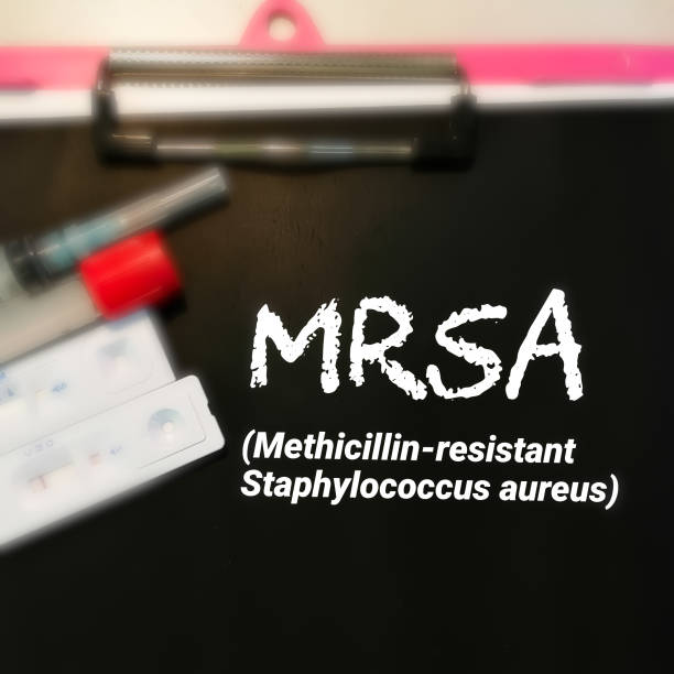istock MRSA or Methicillin-resistant Staphylococcus aureus, medical conceptual image. 1465642519