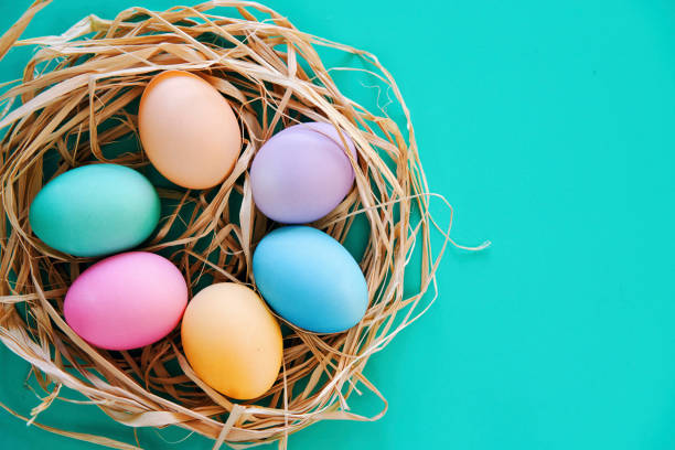 Colorful Easter Eggs in a Nest stock photo