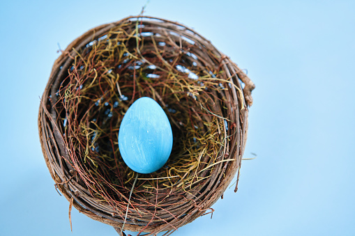 Easter Egg in a Nest on Vibrant Background