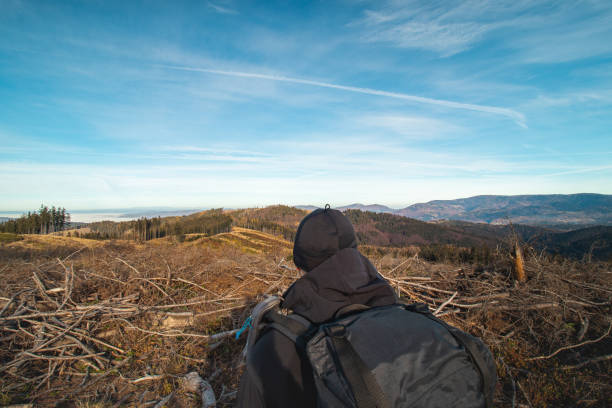 istock Tourist with a backpack on his back shows a younger inexperienced hiker which way to go and where today's destination is. From travellers' lives 1465645784