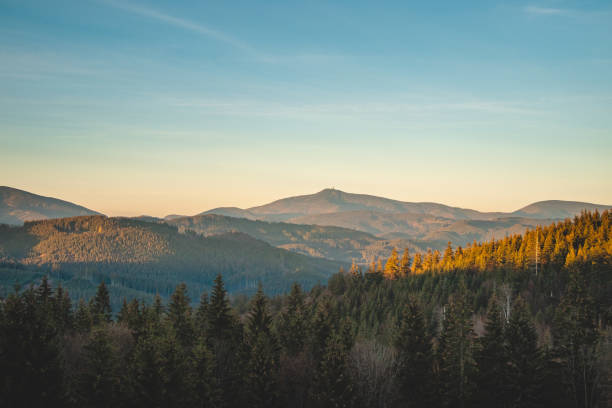 View of the spruce forests of the Beskydy Mountains in the east of the Czech Republic with the highest mountain of the region, Lysa Hora, in the distance during sunset stock photo