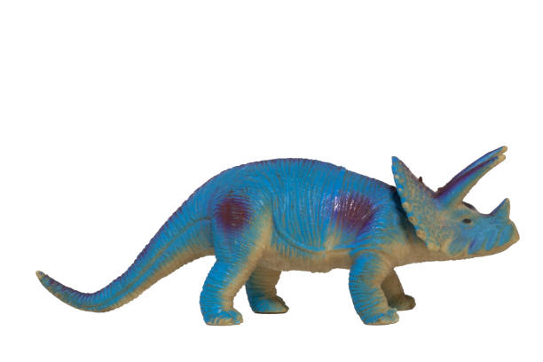 istock A blue triceratops in profile isolated on a white background. Toy dinosaur. 1465645984