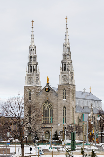 Ottawa, Canada - January 23, 2023: Notre-Dame Cathedral Basilica in downtown of Ottawa, Canada in winter