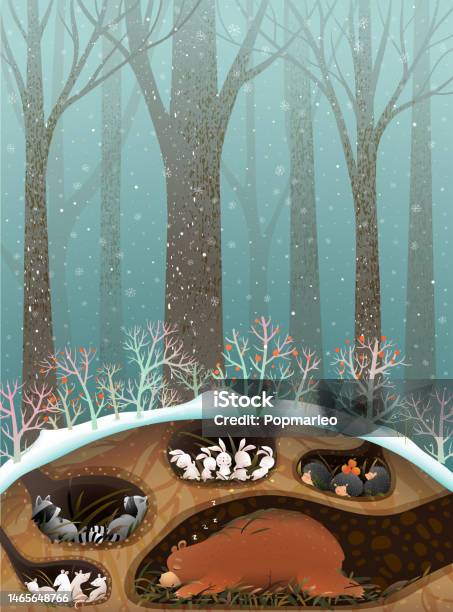 Forest animals sleeping in dens and burrows