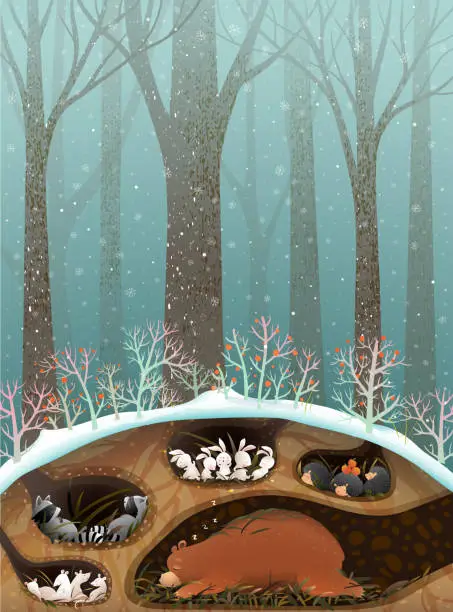 Vector illustration of Animals Sleeping in Dens and Burrows in Forest