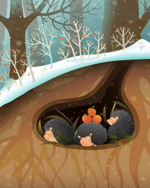 Vector illustration of Hedgehog Sleeping in a Den or Burrow Underground