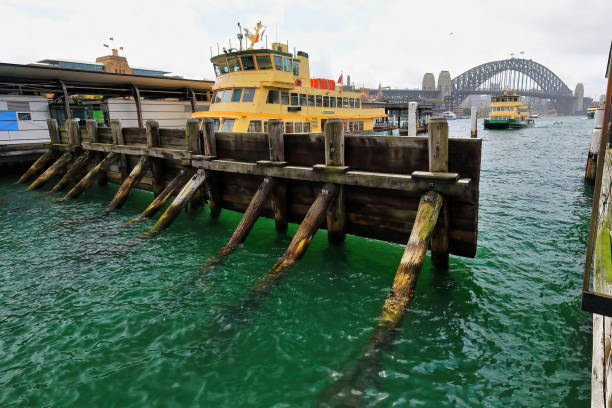 하버 브리지를 배경으로 서큘러 키 항구에 정박하는 페리. 시드니-호주-482 - the rocks sydney harbor bridge sydney australia new south wales 뉴스 사진 이미지