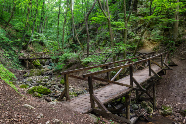istock Dera Gorge in Pilis mountains in Hungary 1465652156