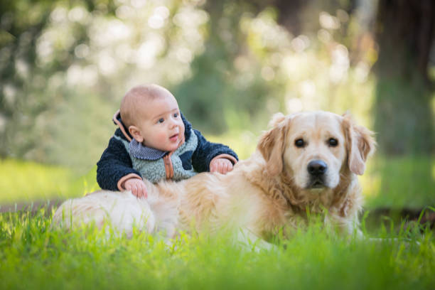 istock Friendly relationship between baby boy and her dog in the forest 1465656458