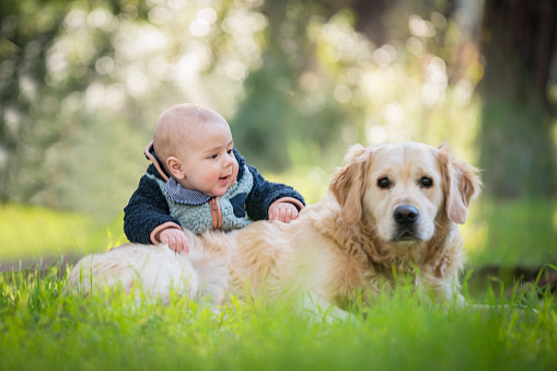 Friendly relationship between baby boy and her dog in the forest