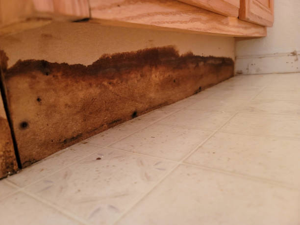 istock Water line from a water restoration job 1465658316