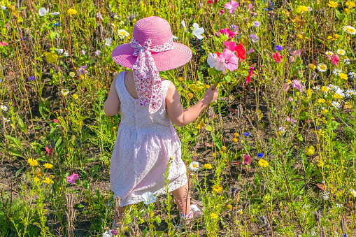 Summer outdoor recreation in a village in Northern Europe Finland.