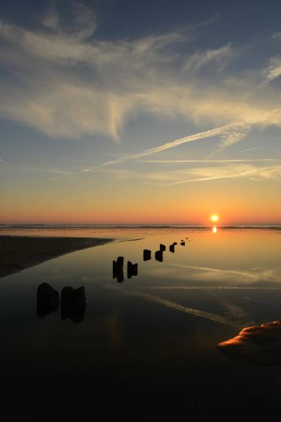 Beautiful Winter coastal sunset with eroded wooden stumps leading your eye through the image.