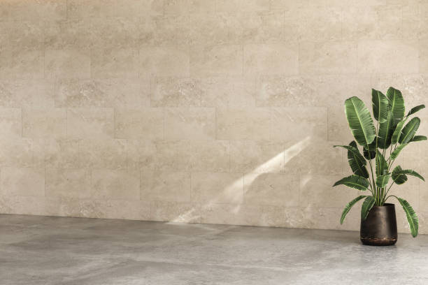 istock Modern bright minimalist interior blank wall in living room, plant , concrete floor. 3d render illustration mock up. 1465669557