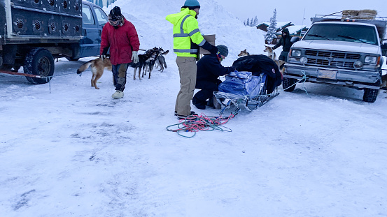 On January 14, 2023  This dog race in Copper Center Alaska is a pre-qualifying race for the Iditarod dog race.  The dogs are getting ready to race