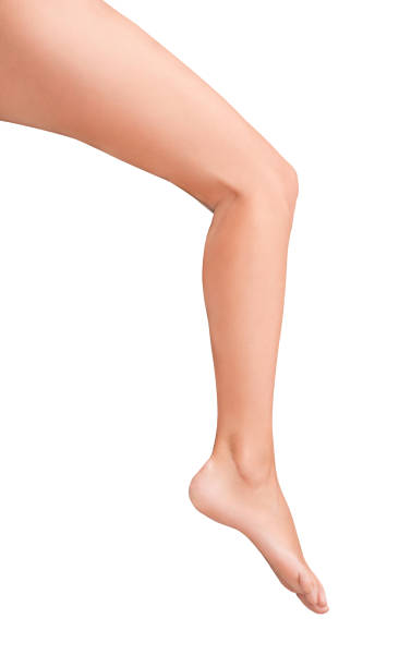 Female leg with well-groomed skin, thigh, shin, foot isolated on white background with clipping path Female leg with well-groomed skin, thigh, shin, foot isolated on white background with clipping path shin stock pictures, royalty-free photos & images