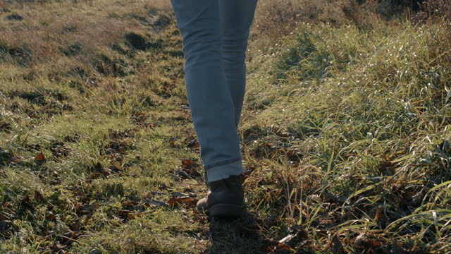 Male legs feet steps terrain on field in evening rays of sun, gimbal shot. Male hiker traveler in jeans and boots, autumn season trekking, stepping on fallen leaves
