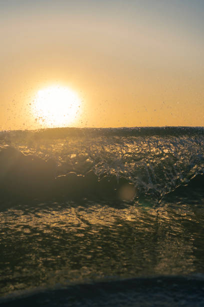istock Sunrise in the water_11 1465690926