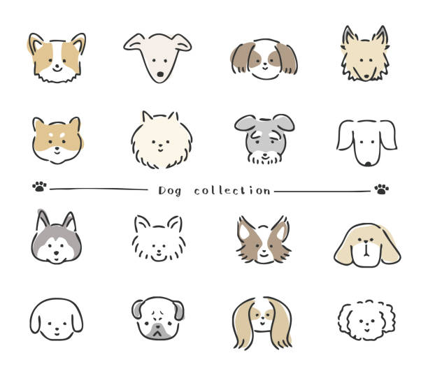 Face icons of various dog breeds. Face icons of various dog breeds. schnauzer stock illustrations