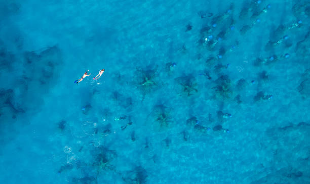 istock Group of divers snorkelling on sea surface above statue underwater museum. 1465699309