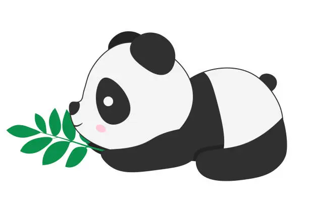 Vector illustration of Cute panda eating bamboo vector illustrations. Baby panda bear cartoon character. Asian wildlife