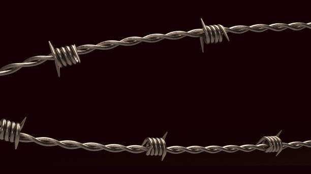 istock The  barbed wire on black background  for security or military concept 3d rendering 1465708151