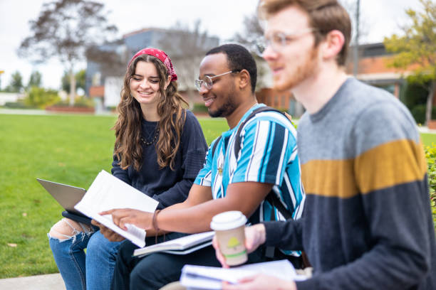 istock Friends studying on the grass field at college 1465709055