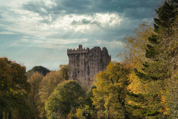View of Blarney Castle above autumn trees