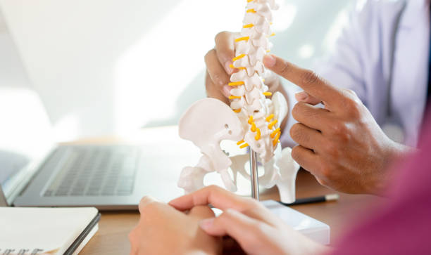 close up physical therapist hand pointing on human skeleton at low back to advise and consult to patient to treatment at office for healthcare concept - human spine posture back backache imagens e fotografias de stock