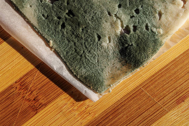 Cheese slice with green mold on parchment paper.