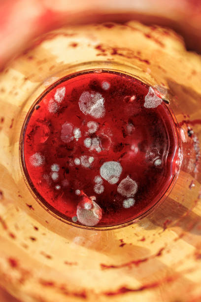 istock Moldy jam lefovers in a jar, close-up. 1465732434