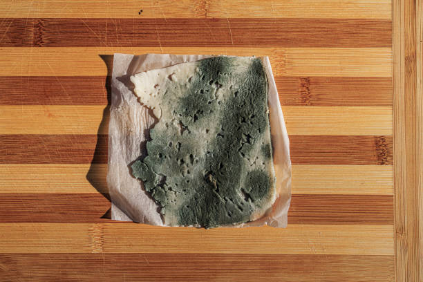 A slice of old cheese with green mold on parchment paper.