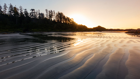 Early morning along the shores of Pacific Rim National Park, located on western Vancouver Island.