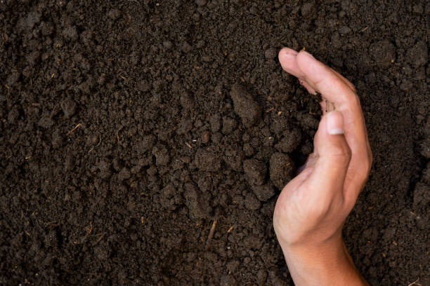 istock Farmer hands take fertile soil 1465739086