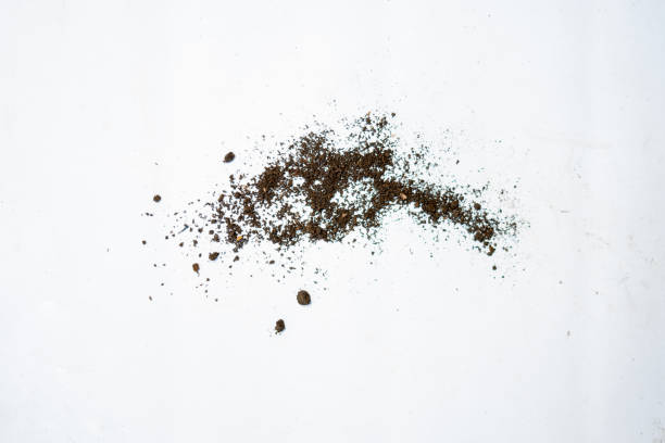 istock fertile soil particle isolated in white 1465739139