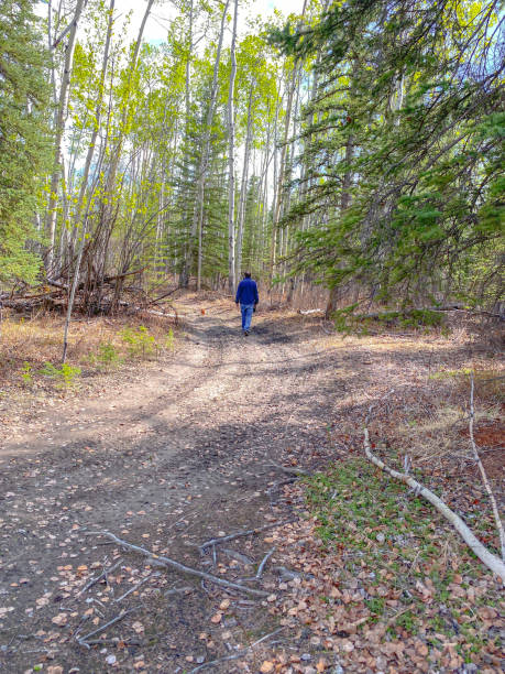 istock Man walking on a country road 1465745132