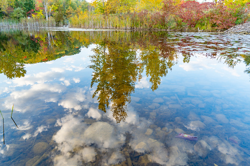 Summer landscape over Remote lake in Grand Rapids. Outdoor sunrise