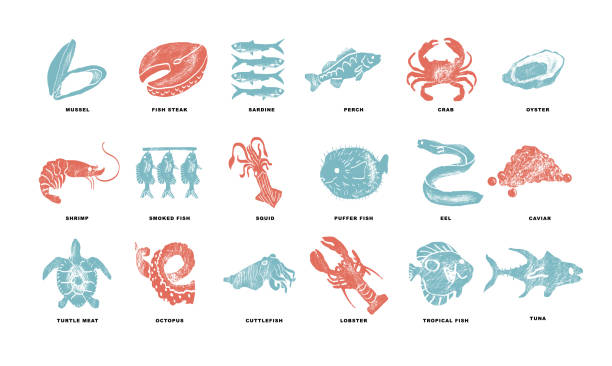Fishes, arthropods and seafood in a abstract draw design. Simple, flat design. Patterns and backgrounds. Fishes, arthropods and seafood in a abstract draw design. Simple, flat design. Patterns and backgrounds. lobster animal stock illustrations