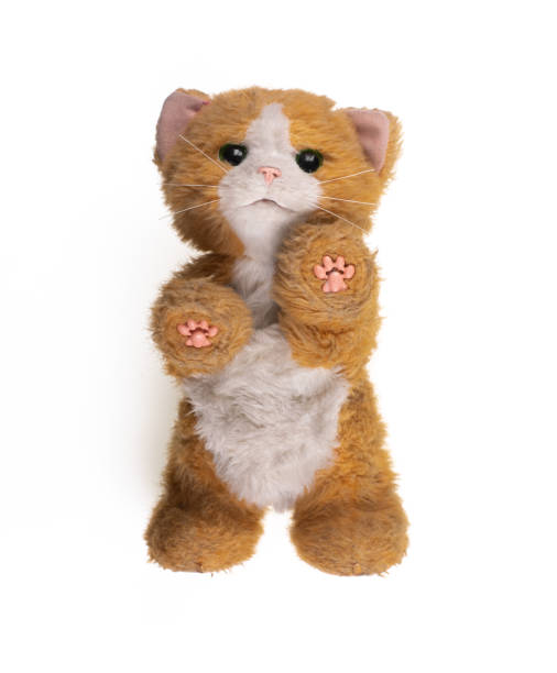istock vintage plush toy kitten isolated on white background 1465751537